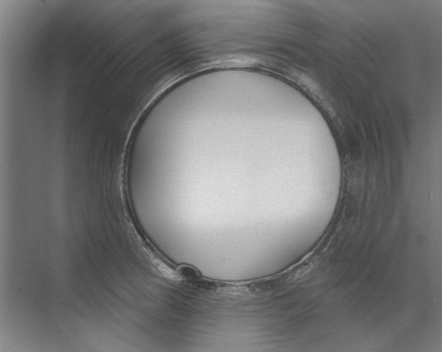 X0000073521186200608281725