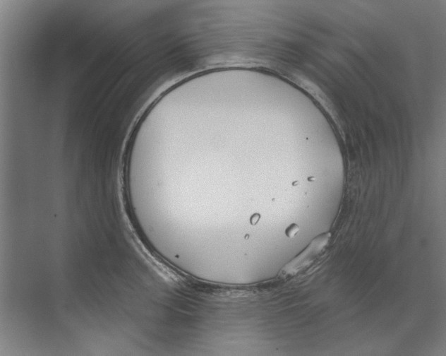 X0000073521187200608281725