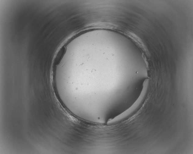 X0000073521188200608281725