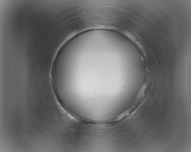 X0000073521189200608281725