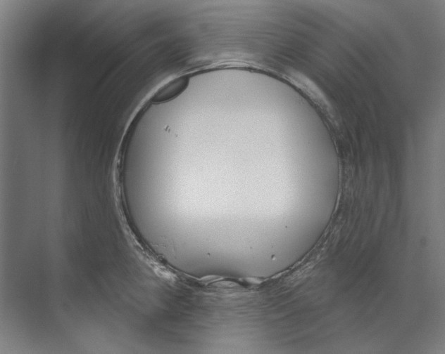 X0000073521190200608281725