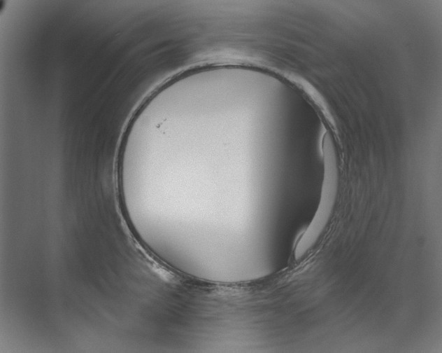 X0000073521191200608281725