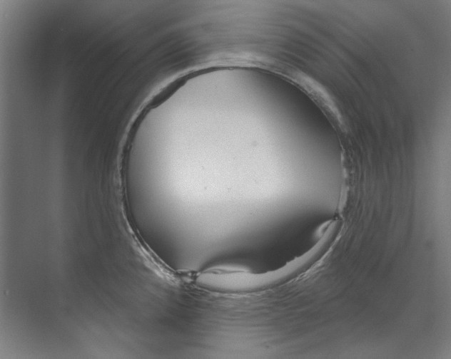 X0000073521192200608281725