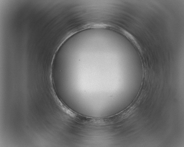 X0000073521194200608281725