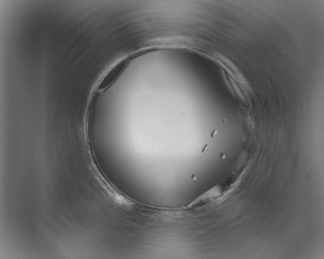 X0000073521196200608281725