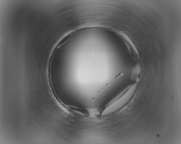 X0000073521197200608281725