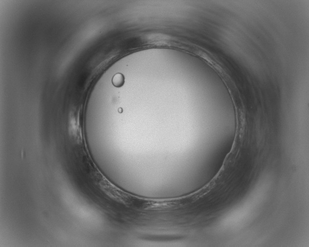 X0000073521198200608281725