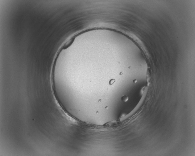 X0000073521199200608281725