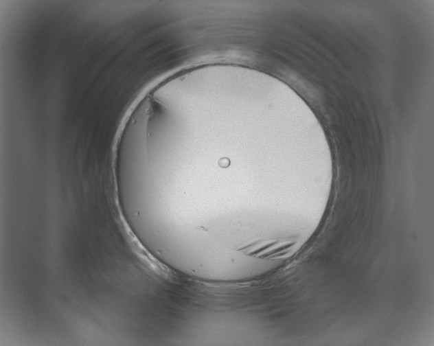 X0000073521200200608281725