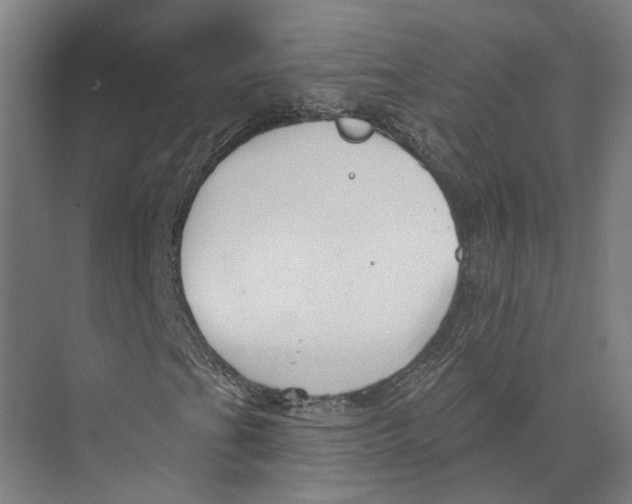 X0000073521201200608281724