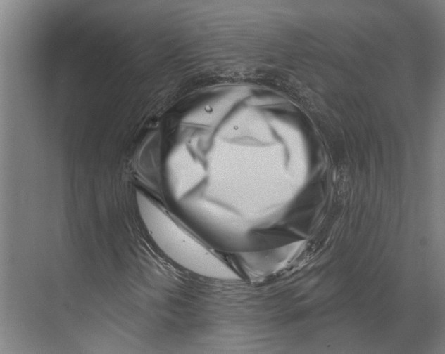 X0000073521202200608281724