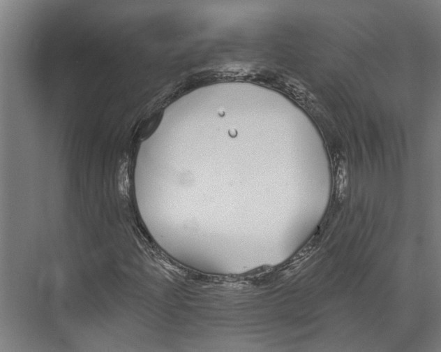 X0000073521204200608281724