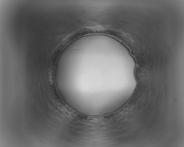 X0000073521205200608281724