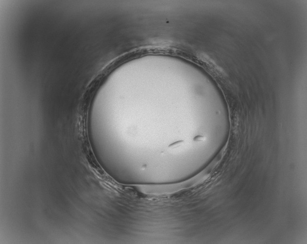 X0000073521208200608281724