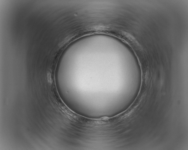 X0000073521209200608281724