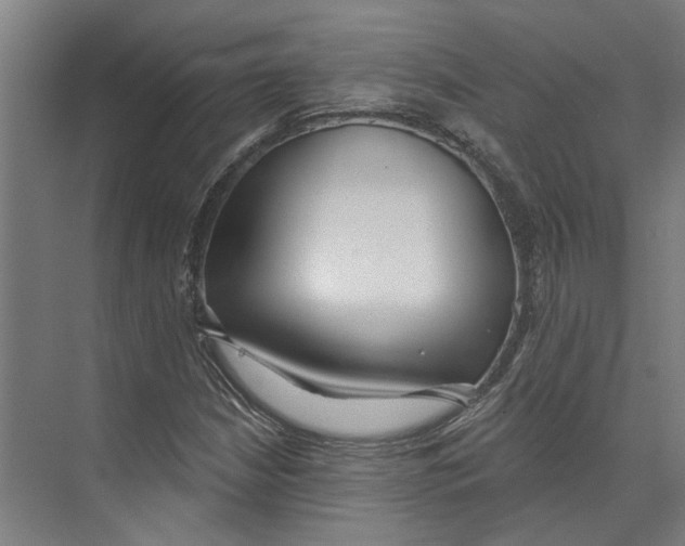 X0000073521210200608281724