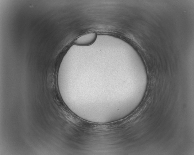 X0000073521211200608281724