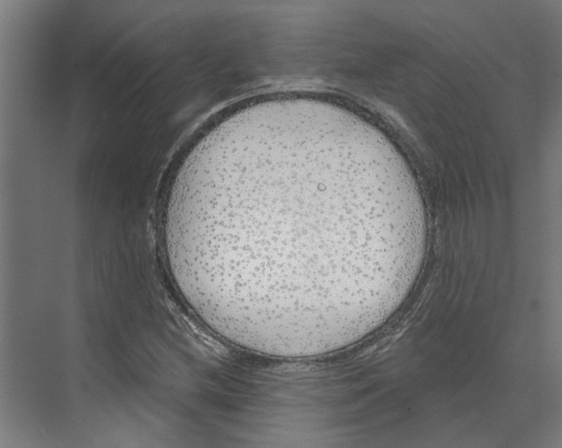 X0000073521212200608281724