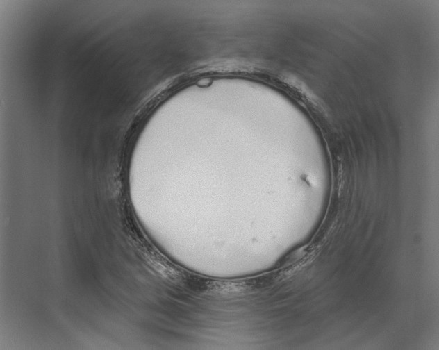 X0000073521213200608281724