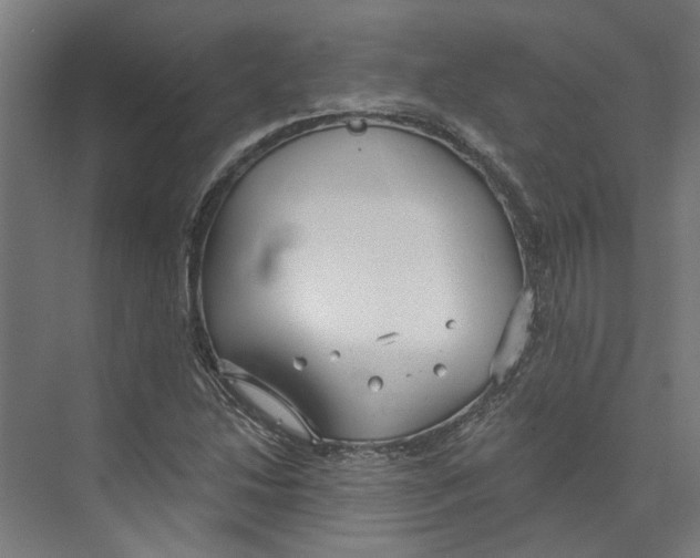 X0000073521214200608281724