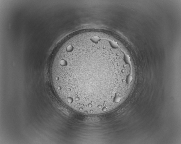 X0000073521215200608281724