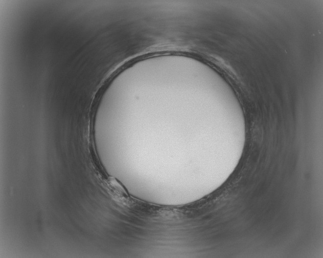 X0000073521220200608281724