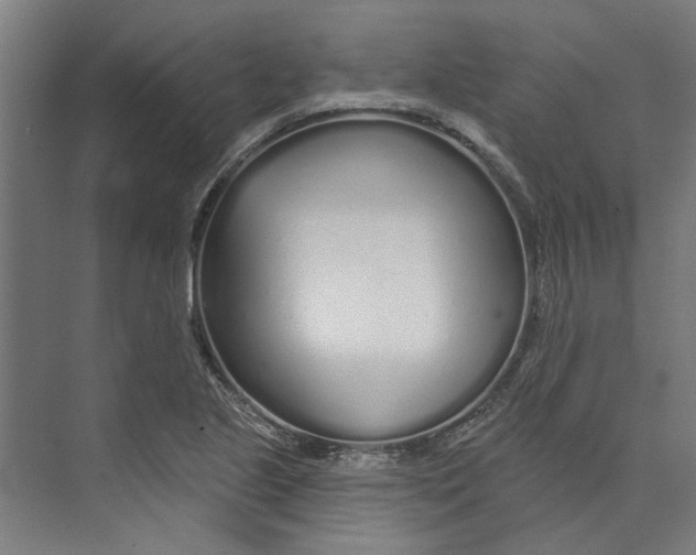 X0000073521221200608281724