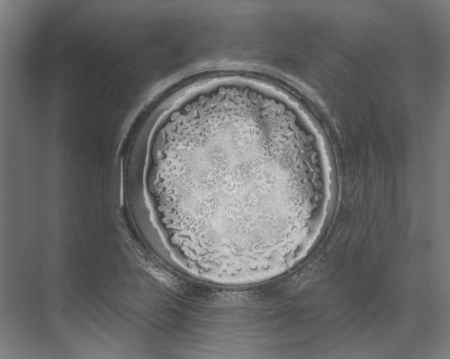 X0000073521223200608281724