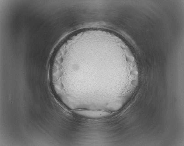 X0000073521224200608281724