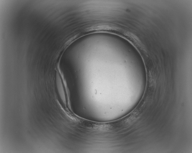 X0000073521225200608281724