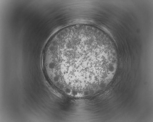 X0000073521227200608281724