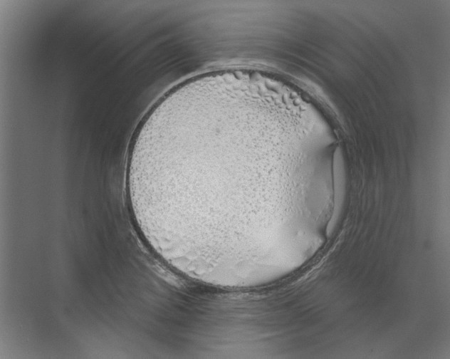 X0000073521228200608281725