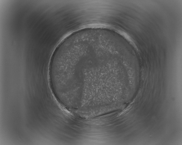 X0000073521229200608281725