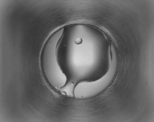 X0000073521230200608281725