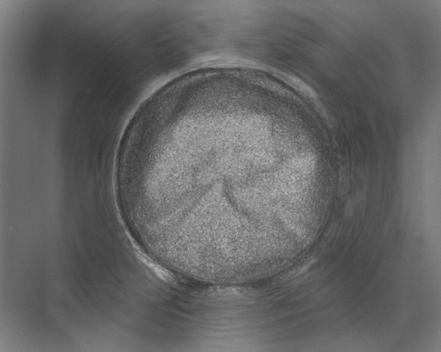 X0000073521231200608281725