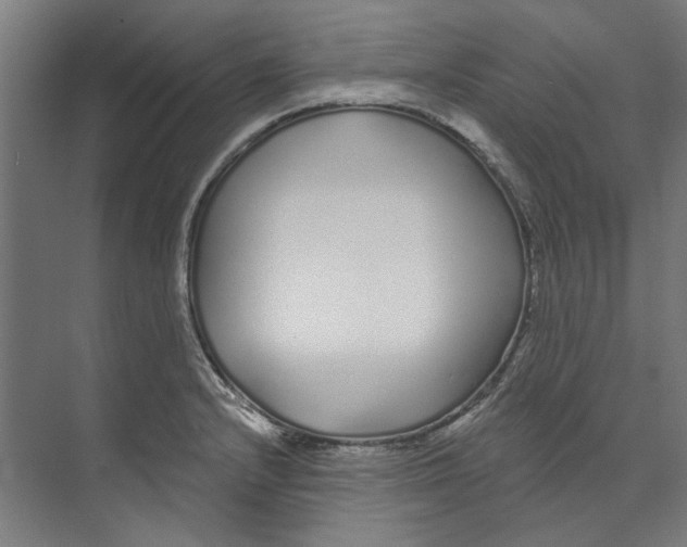 X0000073521232200608281725