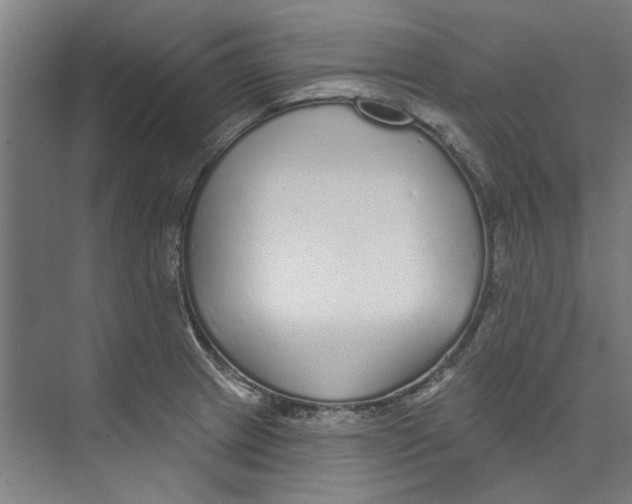 X0000073521233200608281725