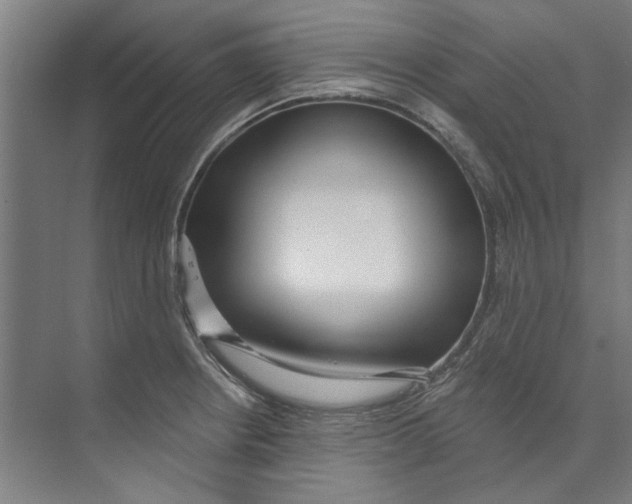 X0000073521234200608281725