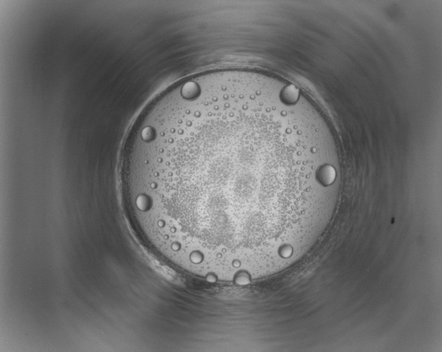 X0000073521235200608281725