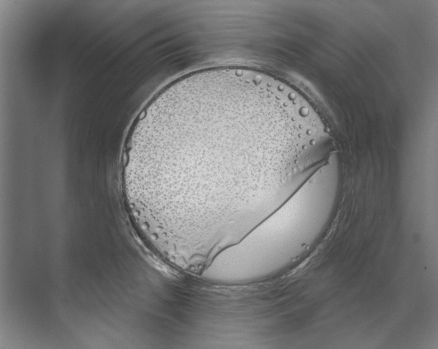 X0000073521236200608281725