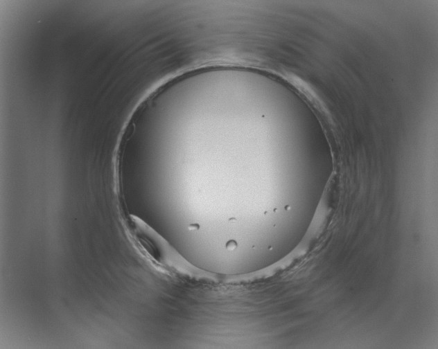 X0000073521238200608281725