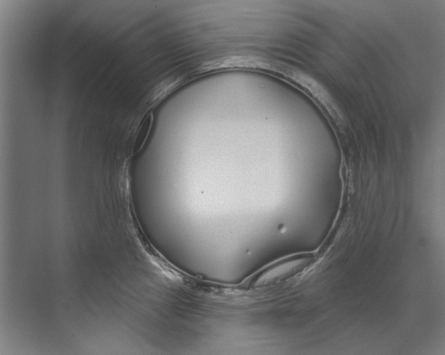 X0000073521241200608281725