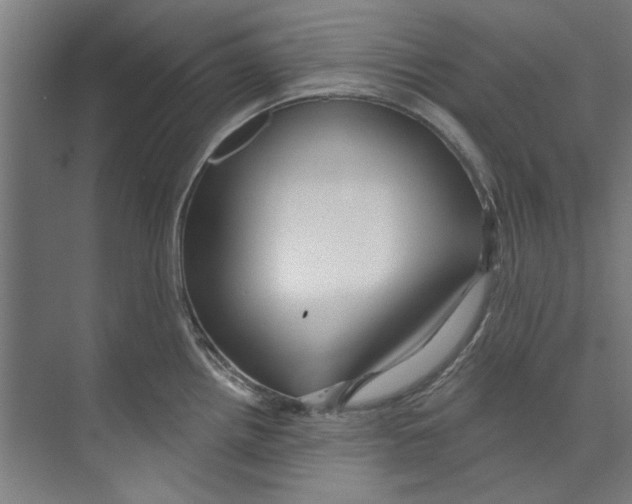 X0000073521242200608281725