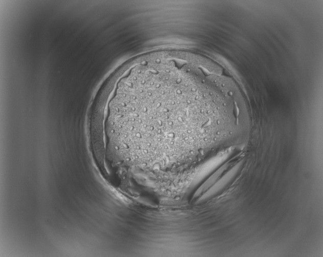 X0000073521243200608281725