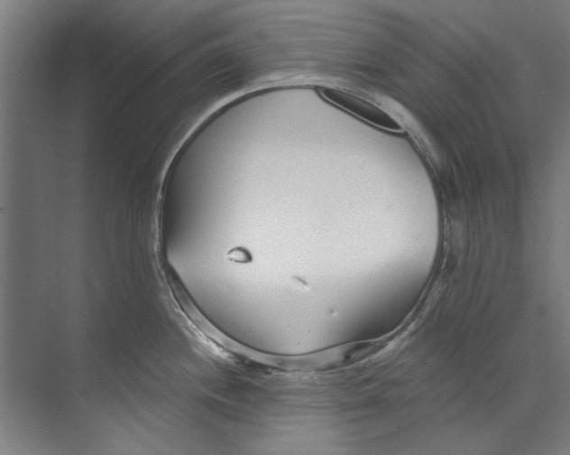 X0000073521244200608281725