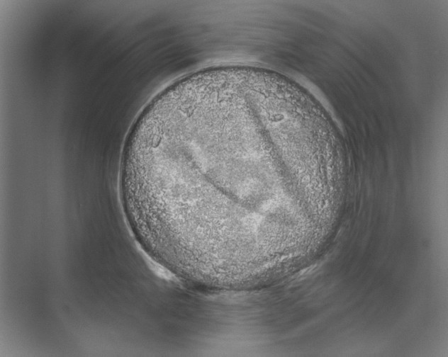 X0000073521245200608281725