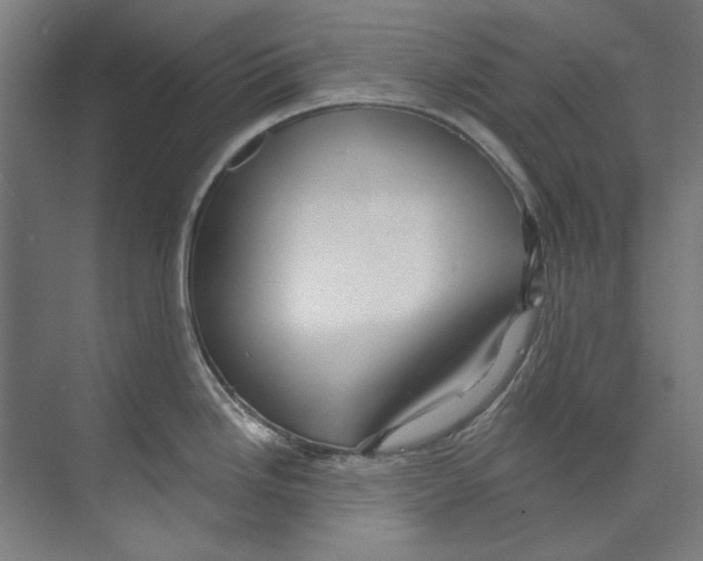 X0000073521246200608281725