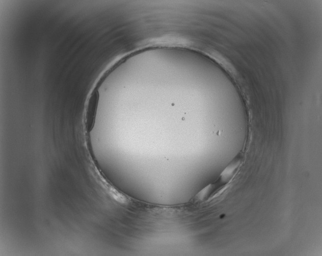 X0000073521248200608281725