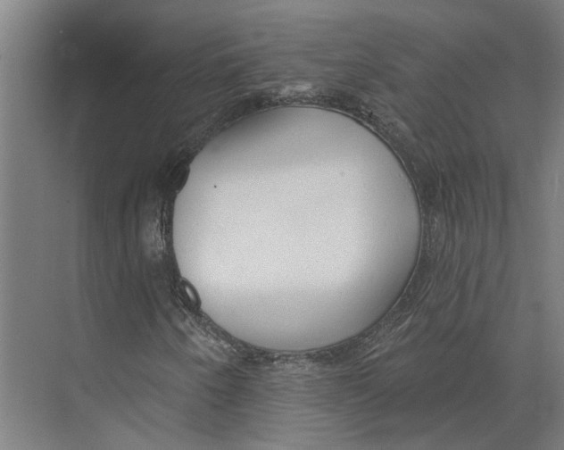 X0000073521250200608281724