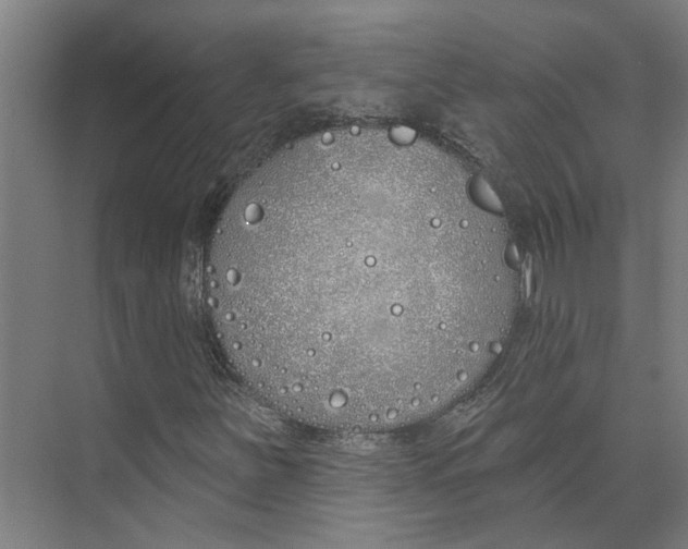 X0000073521251200608281724